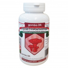 gomba Dr. Pecsétviaszgomba őrlemény kapszula 100db 