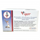 Vigor kapszula 60db 